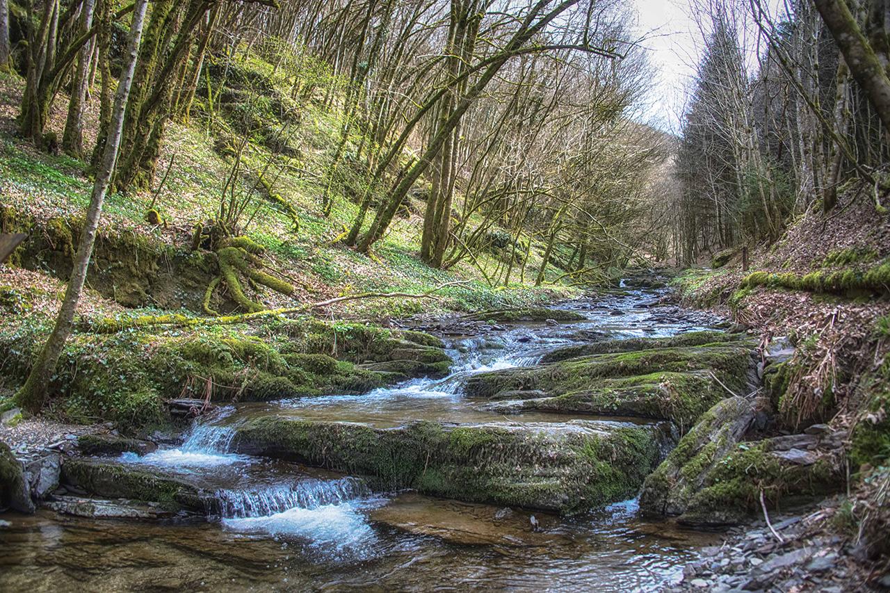 Aux Tanneries De Wiltz Hotel Bagian luar foto